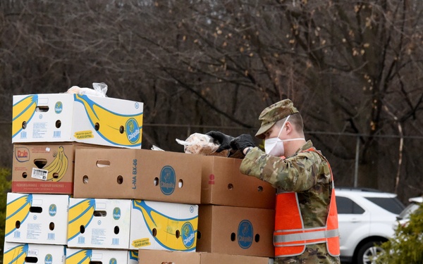 Michigan National Guard assist around 400 families during COVID-19 response