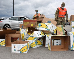 Michigan National Guard assist around 400 families during COVID-19 response