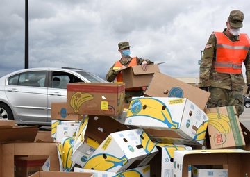 Michigan National Guard assist around 400 families during COVID-19 response