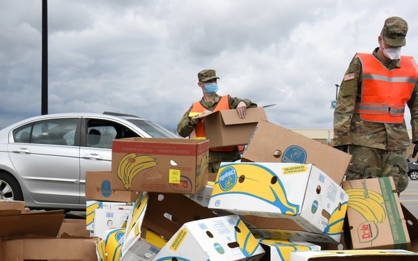 Michigan National Guard assist around 400 families during COVID-19 response