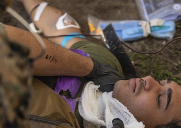 Practice Makes Perfect