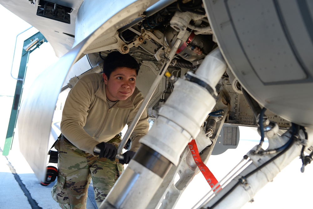 177 FW Maintainers Continue on Mission