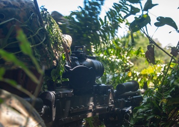 31st MEU, CLB-31 conduct convoy ambush immediate action rehearsals