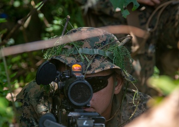 31st MEU, CLB-31 conduct convoy ambush immediate action rehearsals