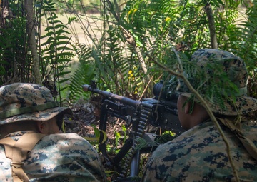 31st MEU, CLB-31 conduct convoy ambush immediate action rehearsals