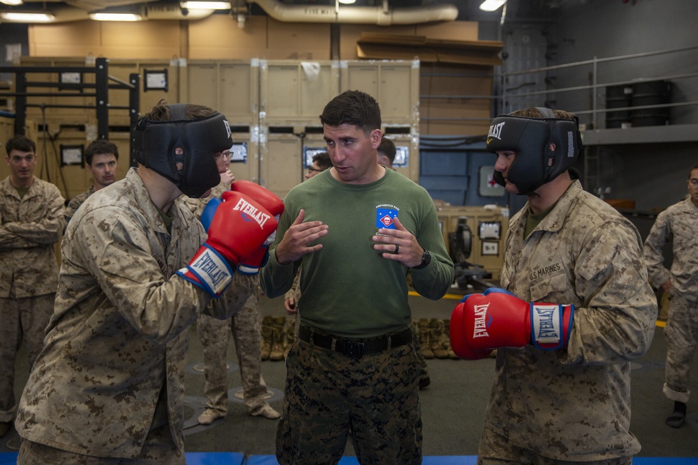 Staying Lethal: 31st MEU Boat Company trains in Marine Corps Martial Arts