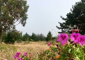 The 148th SOPS: Connecting the dots from earth to space