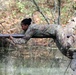 SWCS Students Climb, Scale, Rapel, Traverse Barriers During SERE Course