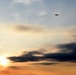 C-17 at sunset