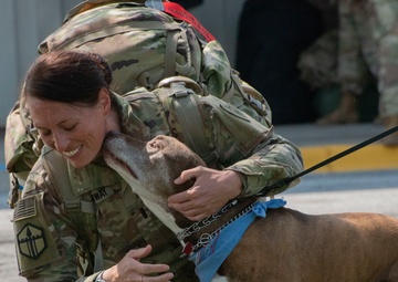 38th Infantry Soldiers coming home