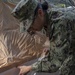 A military service member wearing digital camouflage uniform (NWU Type III / AOR2 pattern consistent with U.S. Navy) is working on assembling or securing a tan/khaki military tent. The individual has dark hair in a bun and is wearing glasses, leaning forward to fasten or adjust a tent panel. The setting appears to be an outdoor field environment.