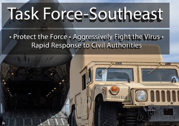 Task Force-Southeast stands up