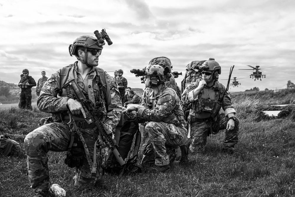 U.S. Army Special Forces Soldiers take part in Saber Junction. 19