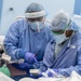 USNS Mercy Sailors Monitors Patient