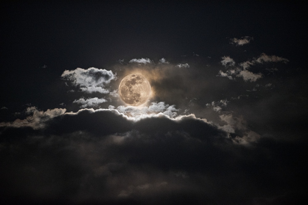 Pink moon at Peterson