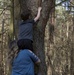 Rock hunting trends on Ramstein