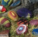Rock hunting trends on Ramstein