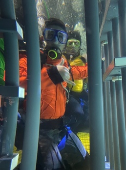 Diving with Sharks gives Soldiers unique way to handle anxiety