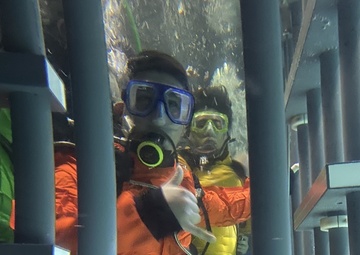 Diving with Sharks gives Soldiers unique way to handle anxiety