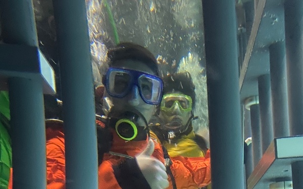 Diving with Sharks gives Soldiers unique way to handle anxiety