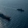 America, Akebono sail together in East China Sea