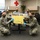 Eggstra Special Wingmen supporting COVID-19, 104th Fighter Wing Medical Group surprise Airmen with Easter treats