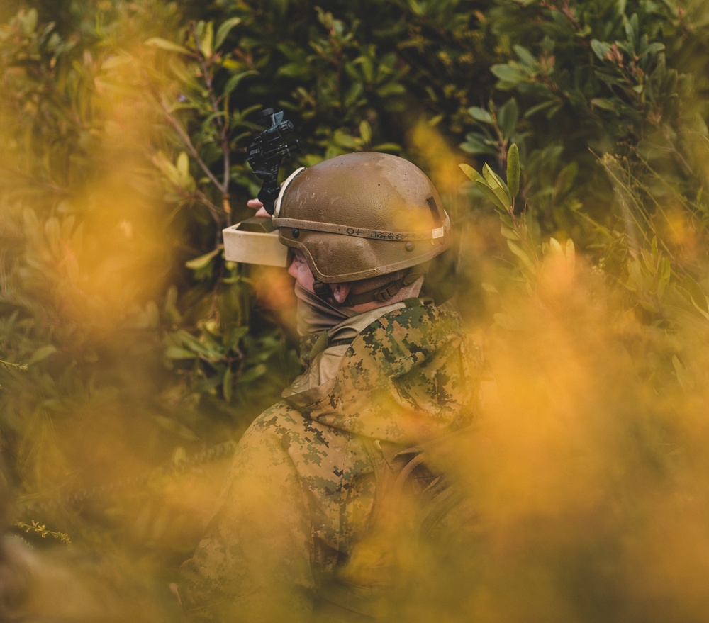 Brigade Platoon Field Exercise