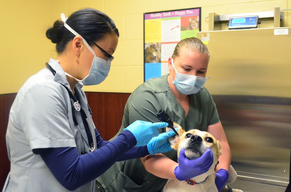 How Much Does An Animal Care Specialist Make