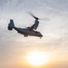 USS America (LHA 6) conducts flight operations April 14, 2020
