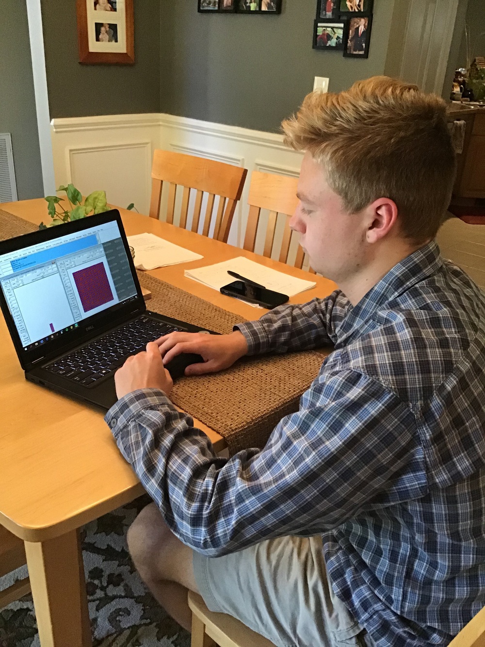 PANE virtual machines