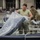 Ky. Guard sets up Alternate Care Facility for COVID-19