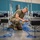 Ky. Guard sets up Alternate Care Facility for COVID-19