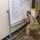 Colorado National Guard Members support the COVID-19 Response Efforts