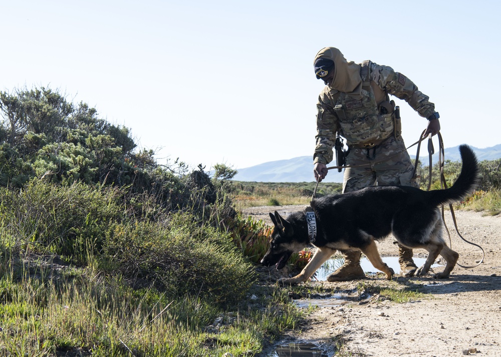 Detection saves lives; MWD roadway training