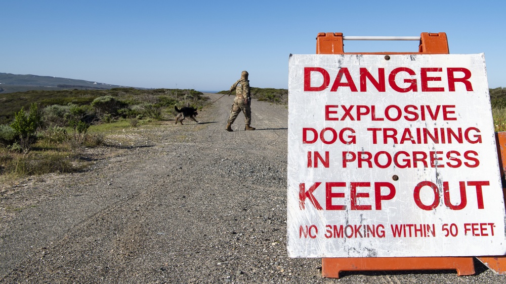 Detection saves lives; MWD roadway training