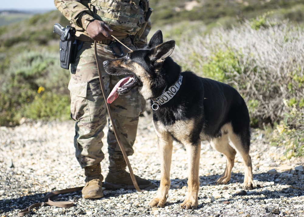 Detection saves lives; MWD roadway training