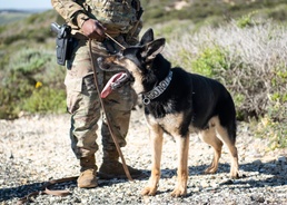 Detection saves lives; MWD roadway training