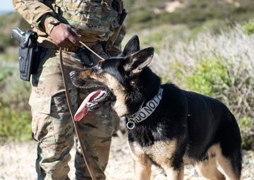 Detection saves lives; MWD roadway training