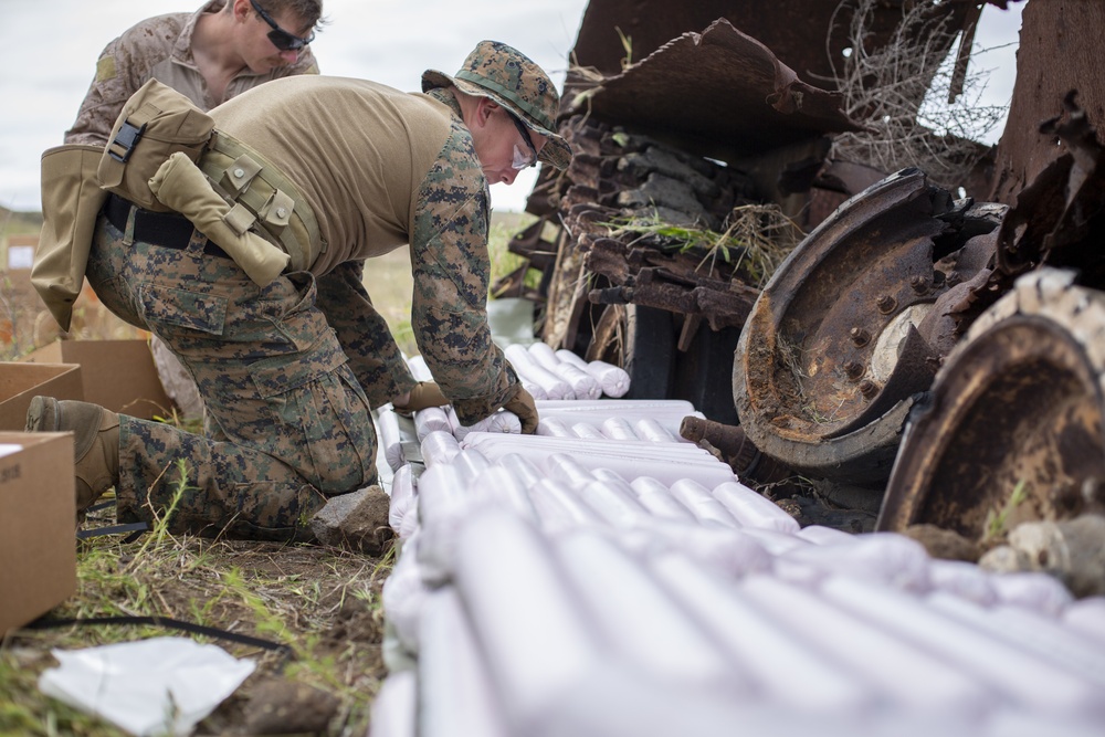 EOD Marines participate in an Operational clearing range on San Clemente Island