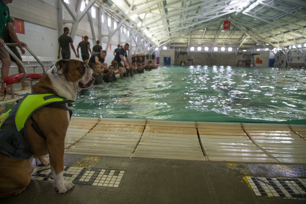 Mike Company Swim PT