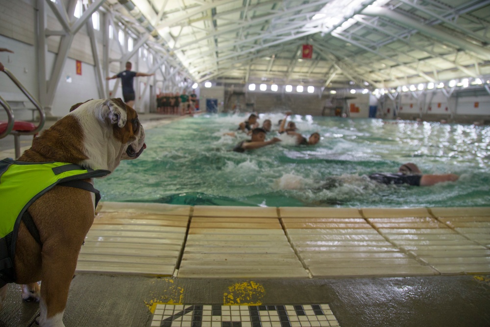 Mike Company Swim PT