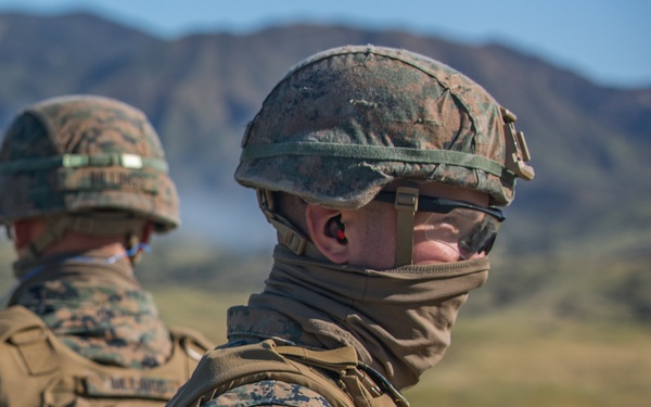 V3/1 Fire Support Team Training