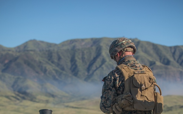 V3/1 Fire Support Team Training