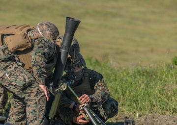 V3/1 Fire Support Team Training