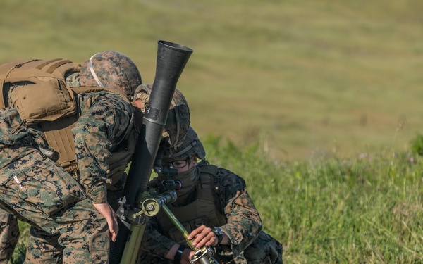 V3/1 Fire Support Team Training