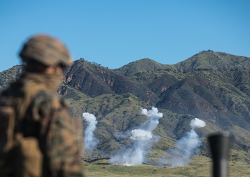 V3/1 Fire Support Team Training