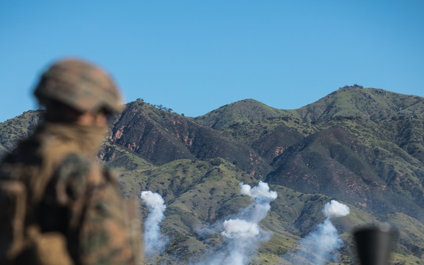 V3/1 Fire Support Team Training