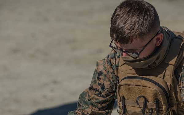 V3/1 Fire Support Team Training