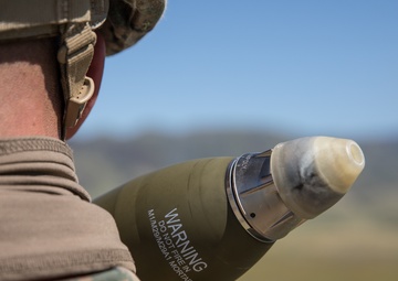 V3/1 Fire Support Team Training