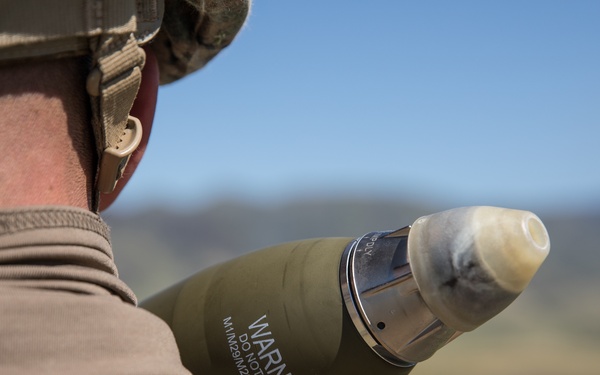 V3/1 Fire Support Team Training